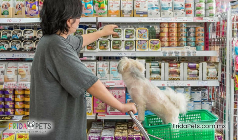 Top 5 Mejores Alimentos para Perros Premium en México