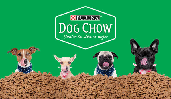 Alimentos para perros Purina Dog Chow