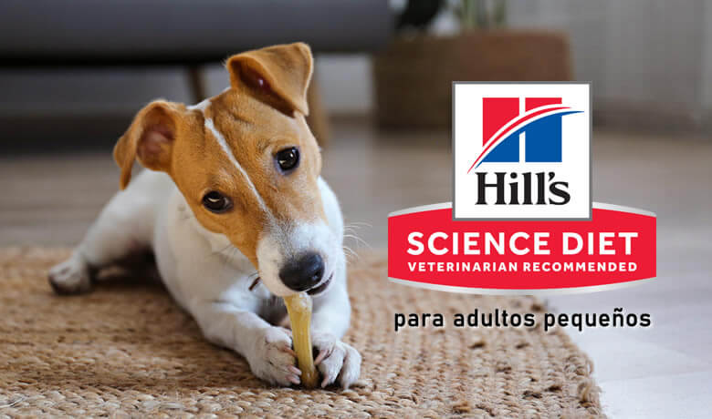 Hills science diet alimento para perro adulto raza pequeña