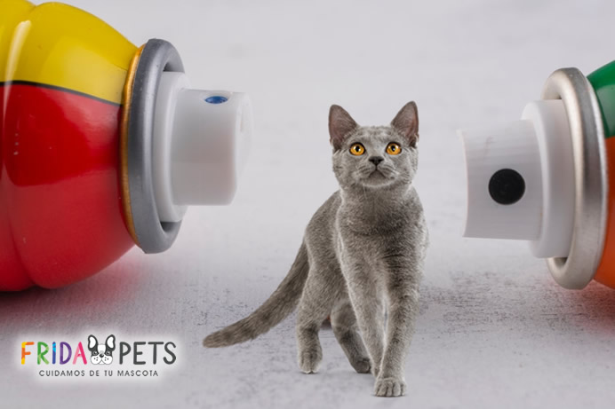 Repelente para Gatos: ¿Cuál es el mejor?- Frida Pets