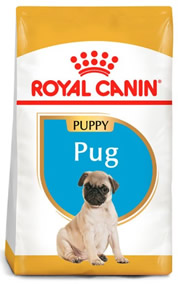 royal canin puppy pug