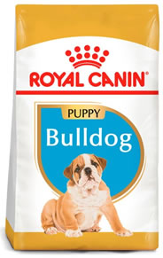 royal canin bulldog cachorro