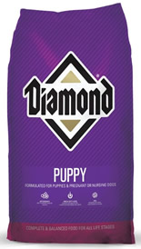 Diamond Cachorro
