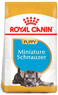 Royal Canin Schnauzer Cachorro