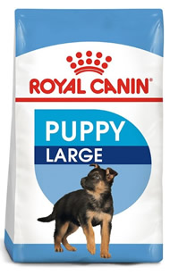 Mejores alimentos para border Colie Royal Canin puppy