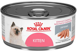 Royal Canin Kitten Lata