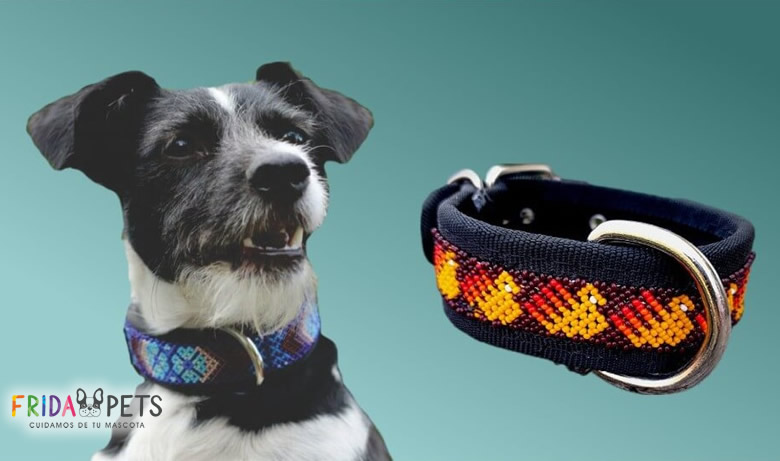 collares artesanales para perros