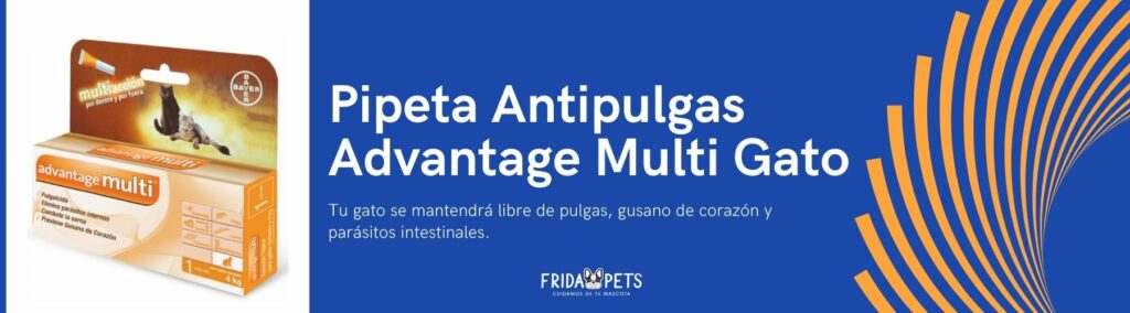 puedo usar advantage multi para gatos en mi perro