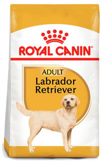Royal Canin Labrador