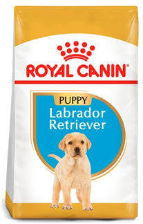 Royal Canin Puppy Labrador mejores croquetas para labrador