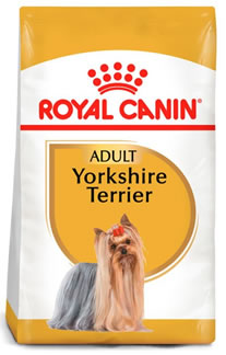 Royal Canin Yorkshire Terrier 