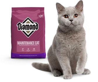 croquetas diamond gato precio