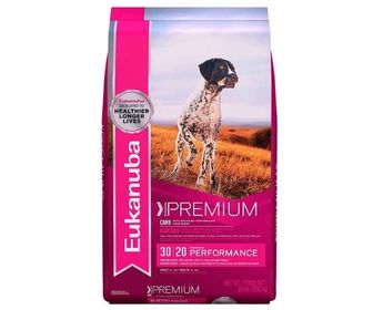 7 alimentos para perros con más proteína eukanuba