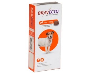 productos para eliminar pulgas en perros