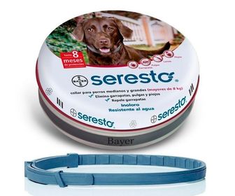 Productos veterinarios para garrapatas en perros