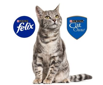 purina cat chow o felix