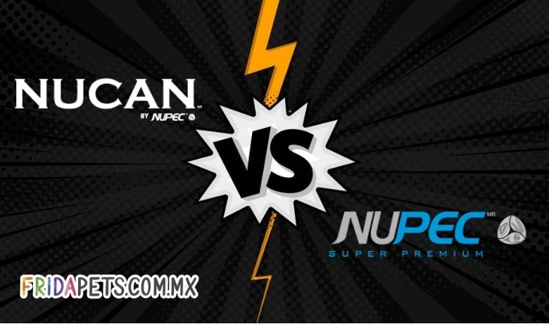 Nucan vs Nupec