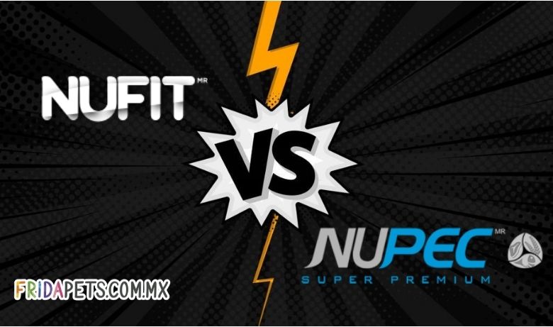 Nufit vs Nupec