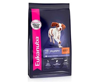 bull terrier alimentacion